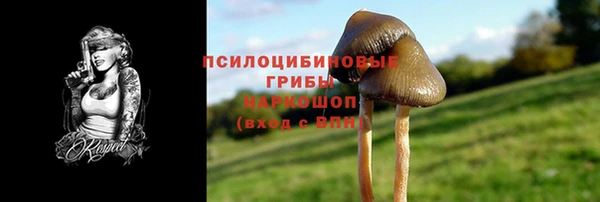 винт Балахна