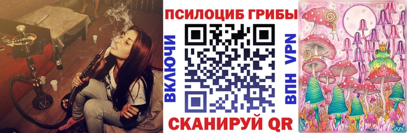 blacksprut сайт  площадка телеграм  Псилоцибиновые грибы GOLDEN TEACHER  купить   Рассказово 
